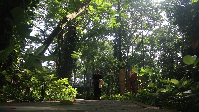 TEDUH: Pengunjung Taman Hutan Joyoboyo melewati area yang dipenuhi dengan beragam tanaman dan pepohonan yang rindang. Di sini terdapat pohon berusia ratusan tahun. (Foto: Karen Wibi)
