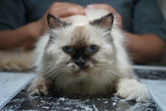 (Foto: Habibah A, Muktiara)