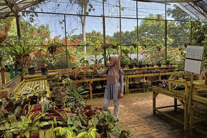 ASRI : Di Kampung Anggrek pengunjung dapat melihat macam-macam jenis anggrek dan pengembangannya. (Foto: Habibah A. Muktiara)