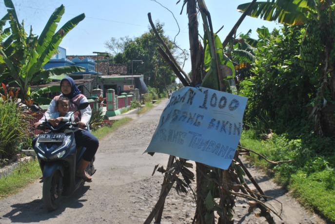 BAHAYA: Warga di Desa Dadapan, Kecamatan Ngronggot menenam pohon pisang di jalan rusak sepanjang 1,5 kilometer. (Foto: Oktavia Rahajeng)