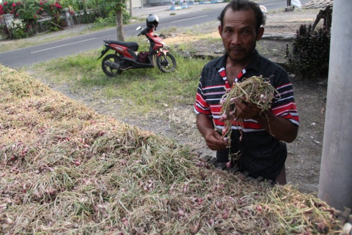 (Foto: Iqbal Syahroni)