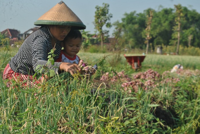 (Foto: Oktavia Rahajeng)