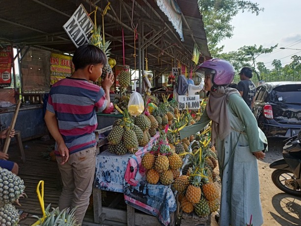 LARIS: Pedagang nanas di Kampung Nanas, Ngancar mengalami peningkatan penjualan drastis selama liburan kemarin. (Foto: Habibah A. Muktiara)