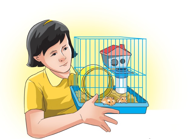 (Ilustrasi: Afrizal/JPRK)