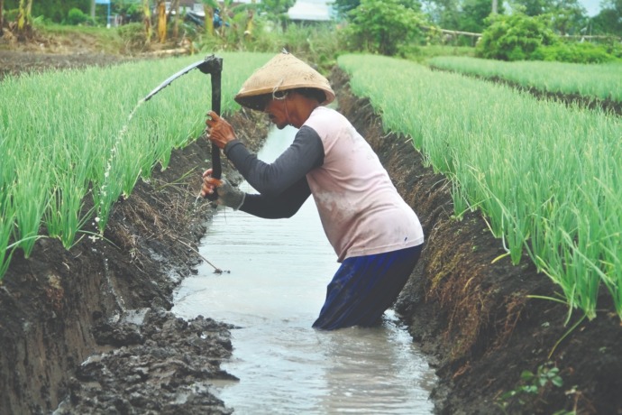 (Foto: Oktavia Rahajeng)