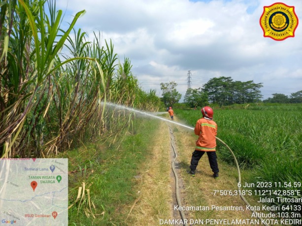 PADAMKAN API: Personel UPT Damkar Kota Kediri berusaha memadamkan kebakaran lahan tebu di Kelurahan Tosaren, Kecamatan Pesantren kemarin. (Foto: UPT DAMKAR KOTA KEDIRI FOR JPRK)