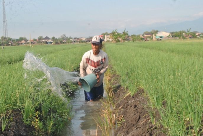 (Foto: Oktavia Rahajeng)