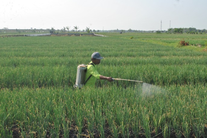 (Foto: Oktavia Rahajeng)