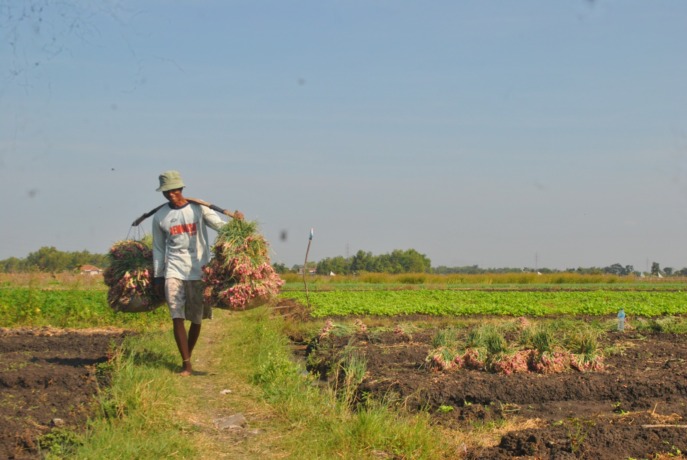 (Foto: Oktavia Rahajeng)