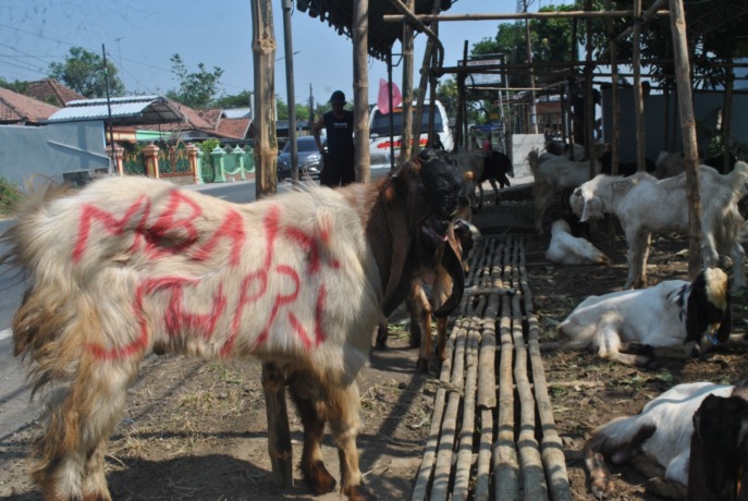 (Foto: Oktavia Rahajeng)