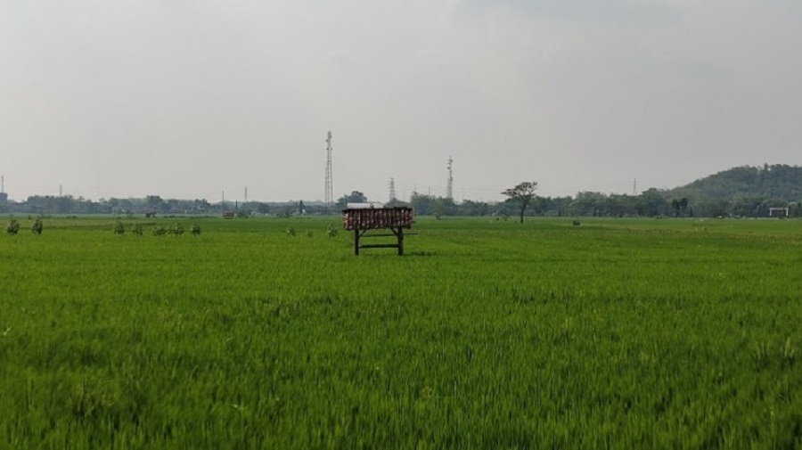 Pemerintah &nbsp;Kabupaten Wonogiri, Jawa Tengah, mengimbau petani untuk ekstra waspada terhadap tikus hewan perusak tanaman padi karena bisa terjangkit leptospirosis.