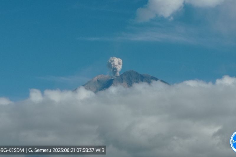 PVMBG merekam aktivitas erupsi berupa lontaran abu vulkanik setinggi 600 meter yang luar dari kawah Gunung Semeru di Jawa Timur, Rabu (21/6/2023).