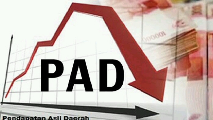 Ilustrasi PAD. (doc.Wartakota)