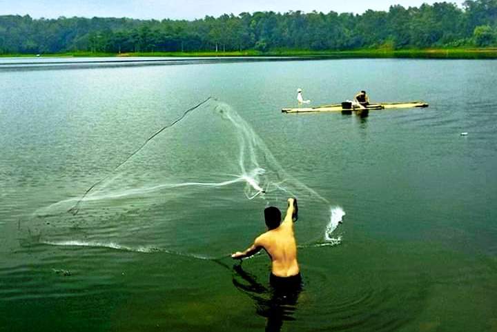 Ilustrasi menjala ikan di danau.