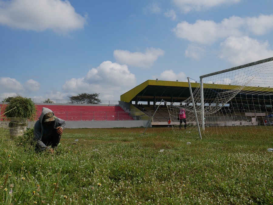 MENINGGI: Salah satu warga saat memotong rumput di Stadion Notohadinegoro, Jember Lor, Kecamatan Patrang, beberapa hari lalu.&nbsp;
