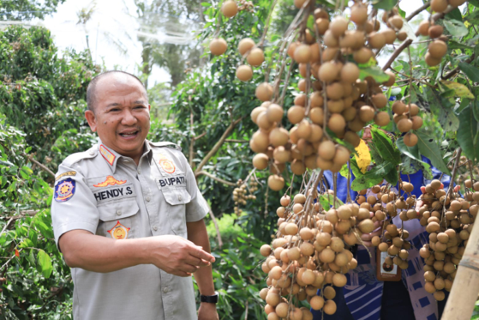 PUNYA POTENSI: Bupati Jember Hendy Siswanto saat meninjau kelengkeng Jemsu di Desa Semboro, Kecamatan Semboro, dalam momen kegiatan J-Berbagi, April lalu. DISKOMINFO UNTUK RADAR JEMBER