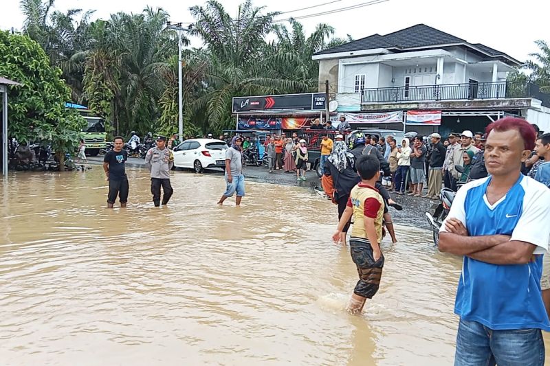 Air Sungai Batang Saman Kabupaten Pasaman Barat, Sumatera Barat meluap hingga menutupi badan jalan nasional mengakibatkan akses transportasi Simpang Empat-Ujung Gading terputus, Jumat.&nbsp;