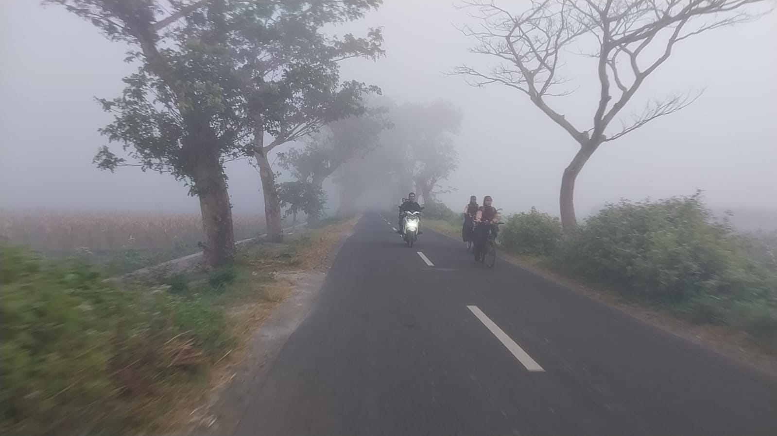 TERTUTUP KABUT: Pengendara sepeda motor nyaris mengalami kecelakaan setelah jalan Kabupaten tepatnya di Desa Ampel dengan Desa Lojejer, Kecamatan Wuluhan, Jember tertutup kabut
