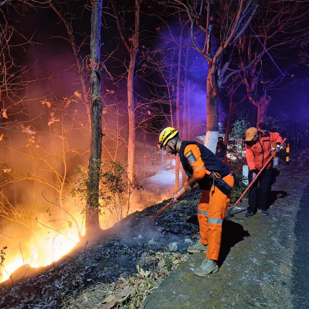 MATIKAN API: Petugas BPBD Bondowoso berupaya memadamkan api di kawasan hutan.