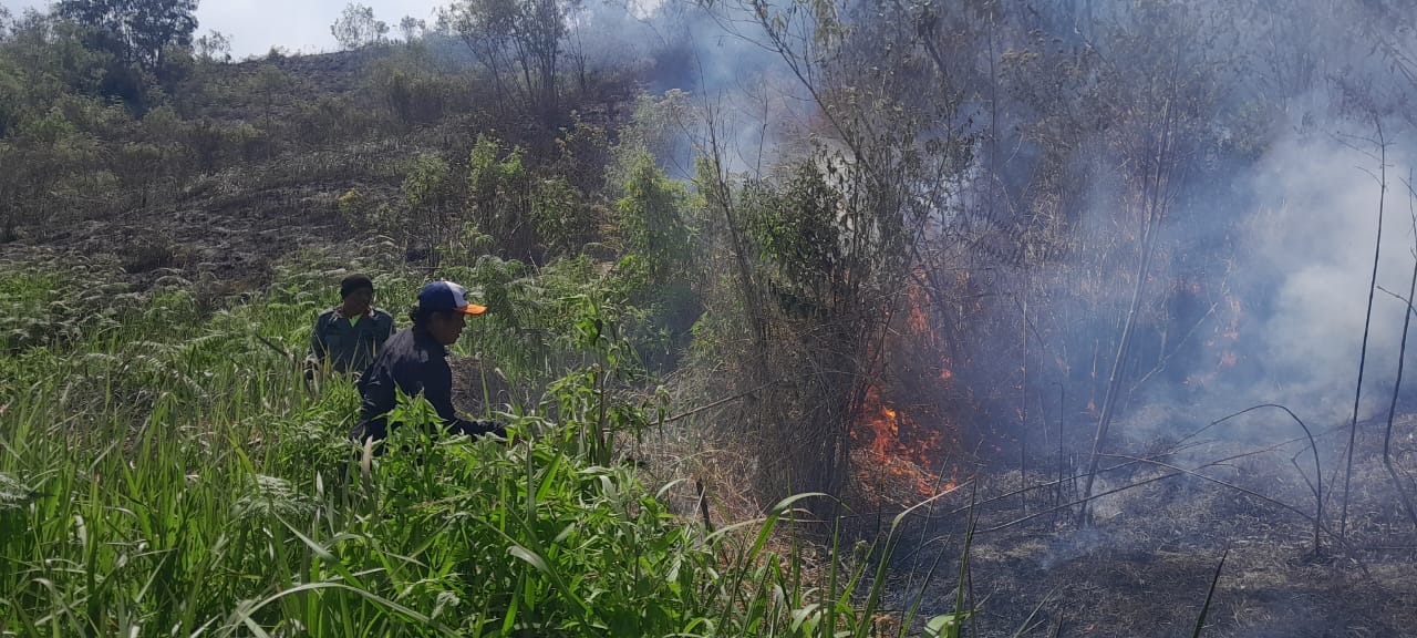 DIPADAMKAN: Sejumlah petugas gabungan sibuk memadamkan api. Kini Polres Bondowoso berjanji akan melakukan penyelidikan.