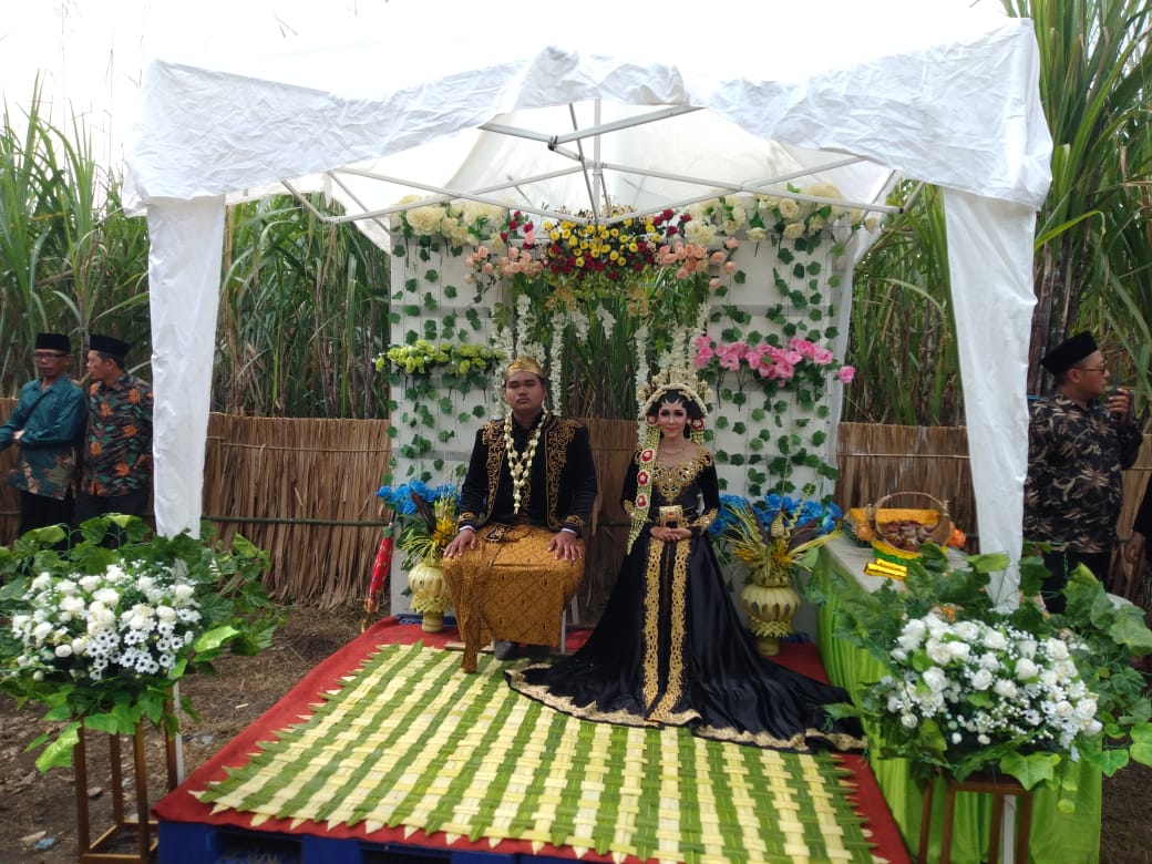 PPID Kab Jember