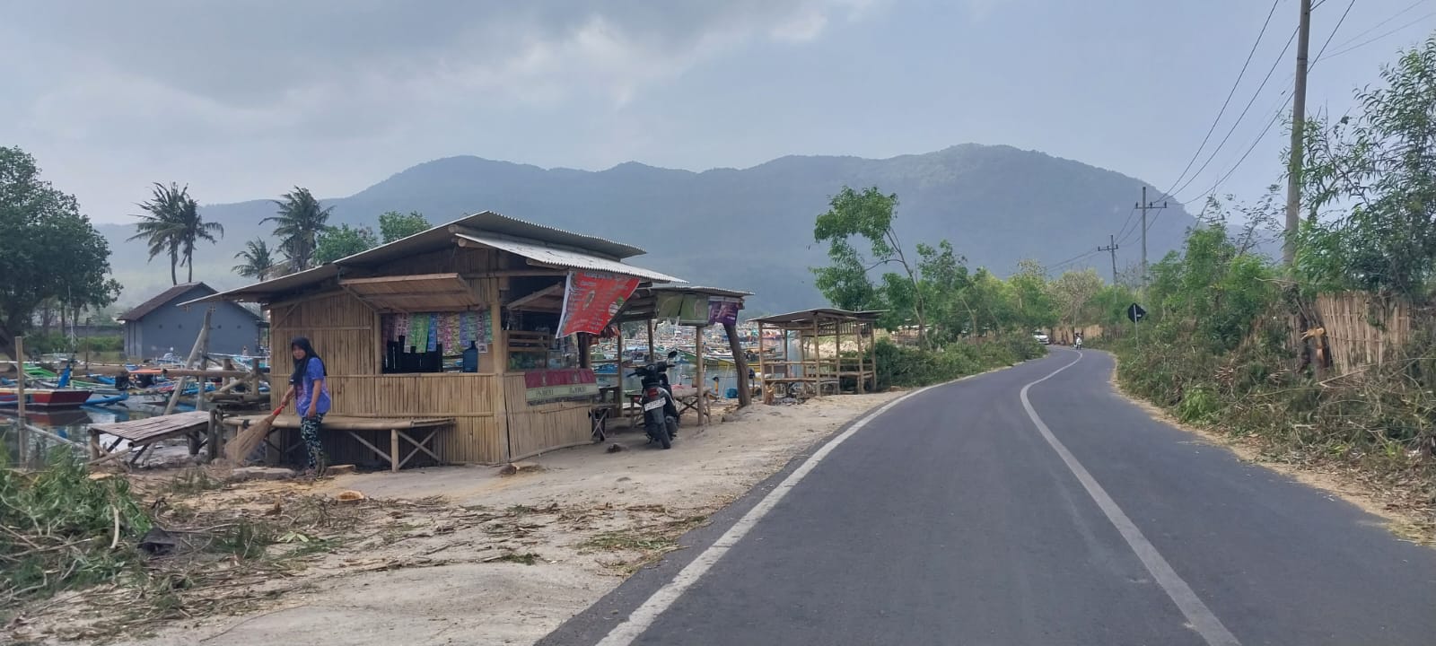 MALAH DIMANFAATKAN PKL: Pemerintahan Desa (Pemdes) Puger Kulon, kecamatan Puger terpaksa harus memotong pohon peneduh karena dimanfaatkan warga untuk mendirikan warung-warung . (Jumai/ Radar Jember)