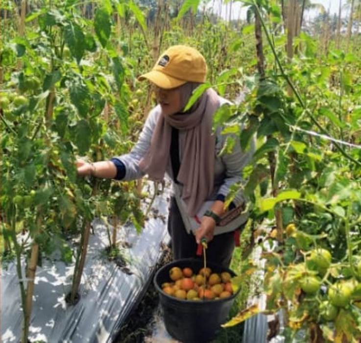 Sumber foto : PPID Jember