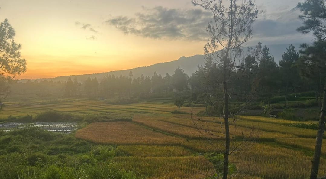 Sumber foto: lumajangkab