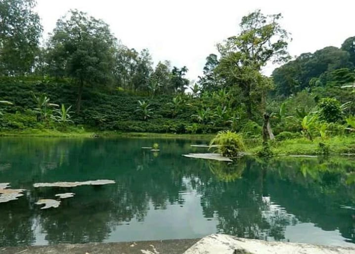 Instagram Pesona Jember