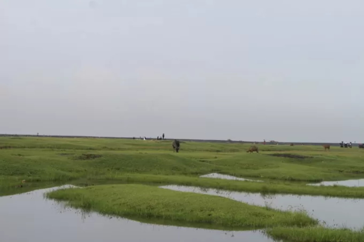DOK Radarjember