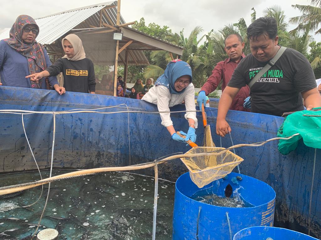 DIAMBIL: Mantan Wakil Bupati Lumajang Periode 2018-2023 itu panen ikan nila di Desa Genitiri Kidul, Kecamatan Rowokangkung.(ADE APRYANIS/RAME)