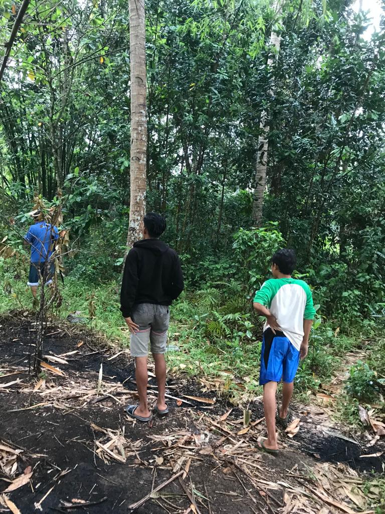 TERUS DIBURU: Sejumlah warga ketika memburu monyet liar yang berkeliaran. (RAHMAN UNTUK RJ)