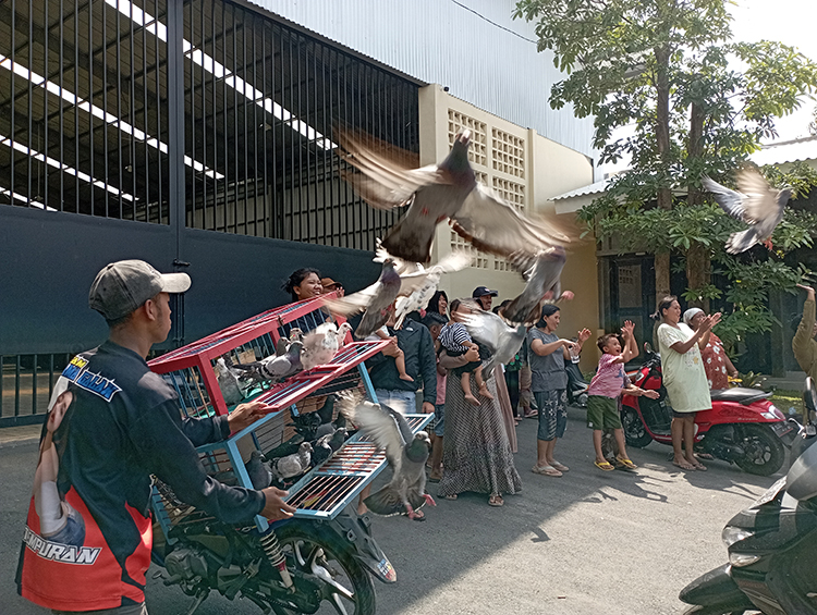 BERANI: Burung merpati dilepas dari kawasan Kelurahan Antirogo. Merpati tersebut akan pulang ke rumahnya dan bisa jadi akan hilang bila lupa jalan pulang.