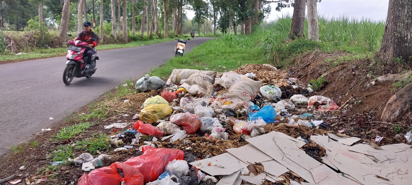 TAK MALU: Tumpukan sampah di jalan menuju Kantor Kecamatan Mumbulsari, tepatnya di Dusun Gambiran, Desa Lengkong, Kecamatan Mumbulsari.