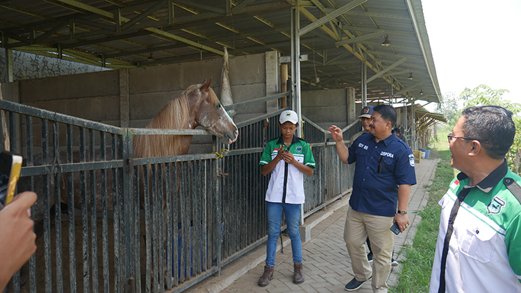 POTENSIAL: Kepala Dinas Pemuda dan Olahraga (Dispora) Jember Edy Budi Susilo bersama pengurus KONI dan Pordasi Jember saat mengunjungi kandang kuda di Jember Riding Club (JRC), Wirowongso, Ajung.