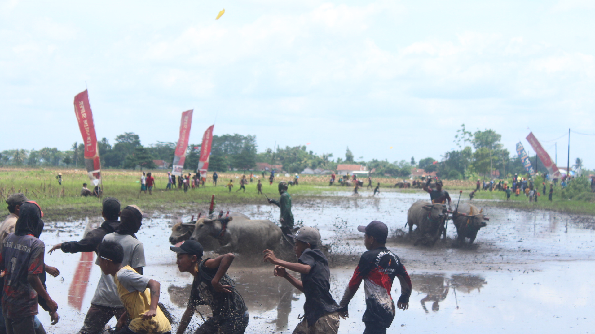 KERAPAN: Masyarakat Desa Dawuhan Wetan Kecamatan Rowokangkung saat menyelenggarakan kerapan kerbau untuk mengawali musim tanam padi.