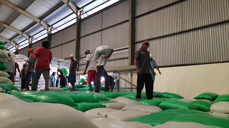 SIAP DISTRIBUSIKAN: Stok beras di gudang Bulog Bondowoso. Menjelang Nataru, ketersediaan beras di Bondowoso masih aman hingga 2024.