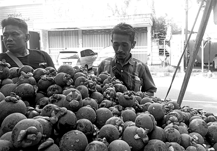 UNGU: Seorang pembeli memilih manggis di lapak milik Noval Dewantara di Kotakulon, Bondowoso.