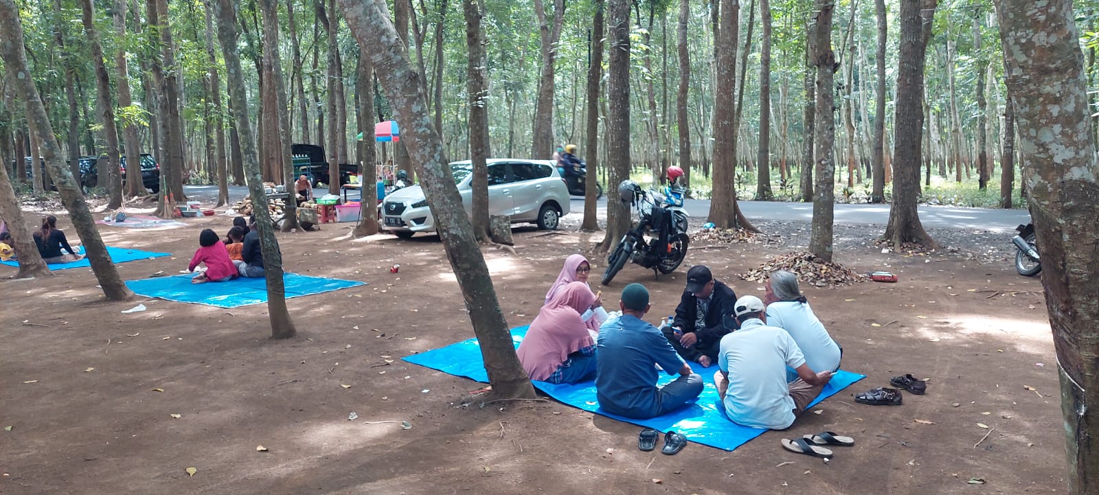 BERSIH DAN NYAMAN: Salah satu tempat yang nyaman dan bersih yang disiapkan para pedagang yang berjualan di bawah pohon karet Adf Wonojati PTPN 12 Kebun Glantangan, kecamatan Tempurejo. (JUMAI/RJ)