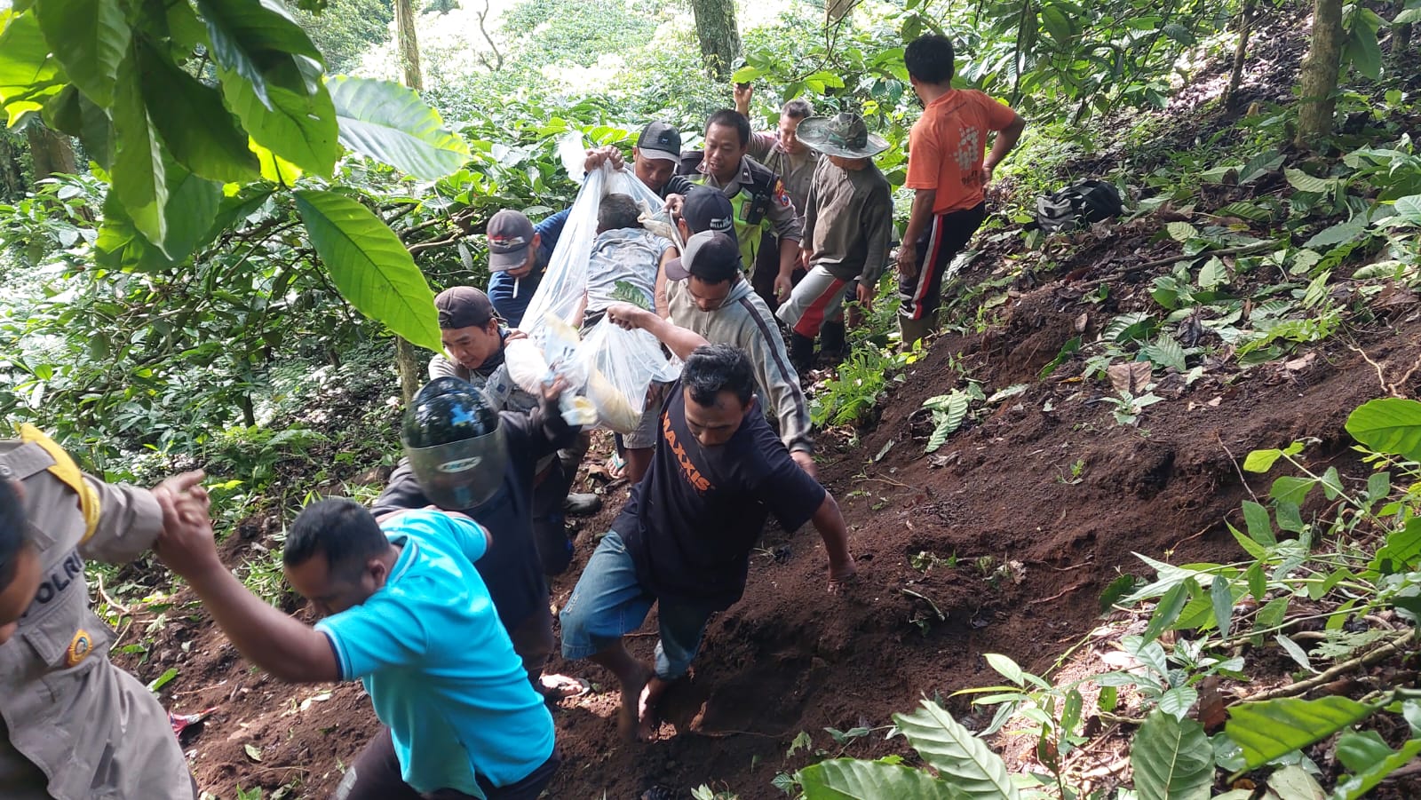 BERHASIL DIEVAKUASI: Jasad sopir truk Fuso P 8099 UF bernama Budi santoso, 67, warga Jatiroto, Lumajang mengalami susah saat dievakuasi dari dalam jurang setelah terjepit kabin truk. (Jumai/RJ)