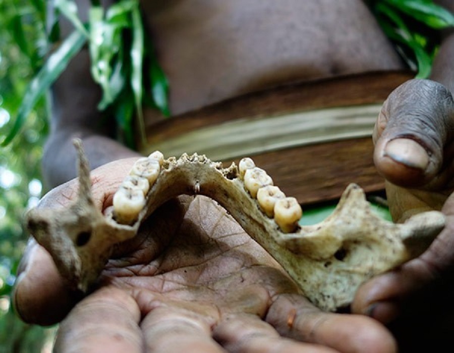 Ilustrasi (photo: Vanuatu Travel)