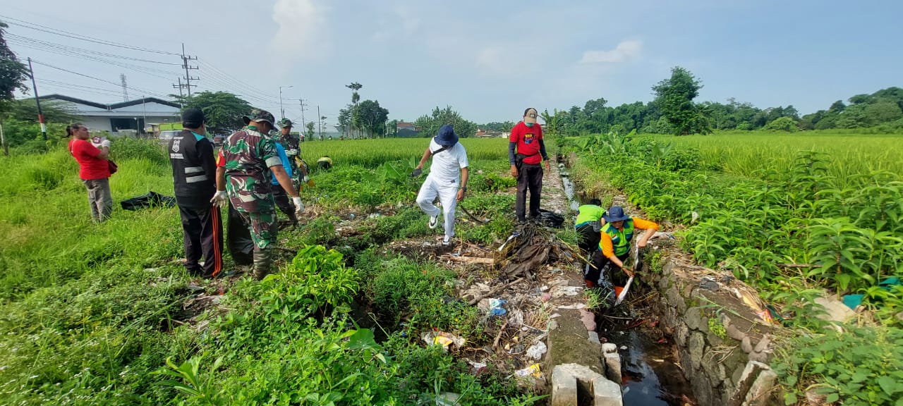 MENJAGA LAHAN PANGAN : Pemdes, Koramil, Polsek Ajung dan komunitas peduli sampah lakukan panen sampah dilahan pertanian persawahan Desa/Kecamatan Ajung,(3/3). (JUMAI/RADAR JEMBER)