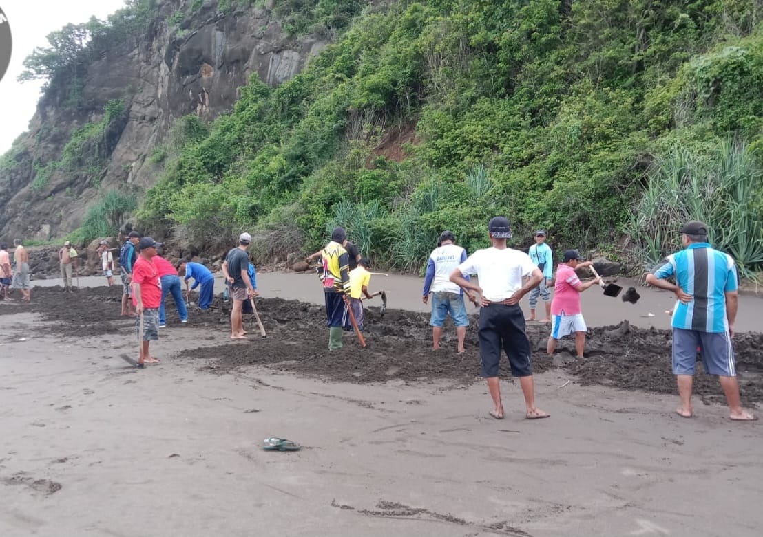 KERJA BAKTI : Para petani asal Dusun watu Ulo, Desa Sumberejo, Kecamatan Ambulu, Jember saat kerja bakti membuat saluran yang tertutup dengan pasir pasca terjadinya air laut pasang selama dua hari.