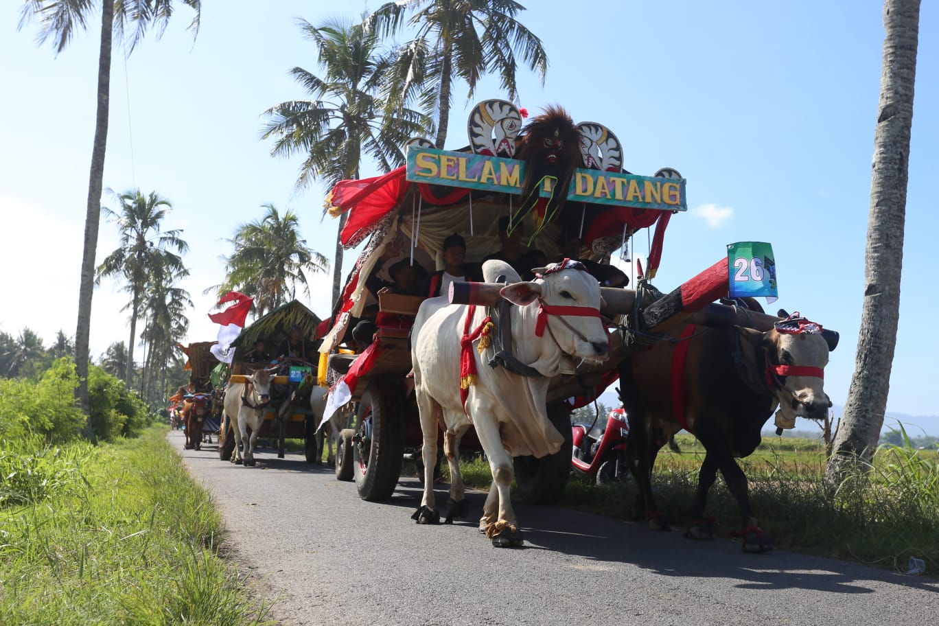 DOK RADAR JEMBER