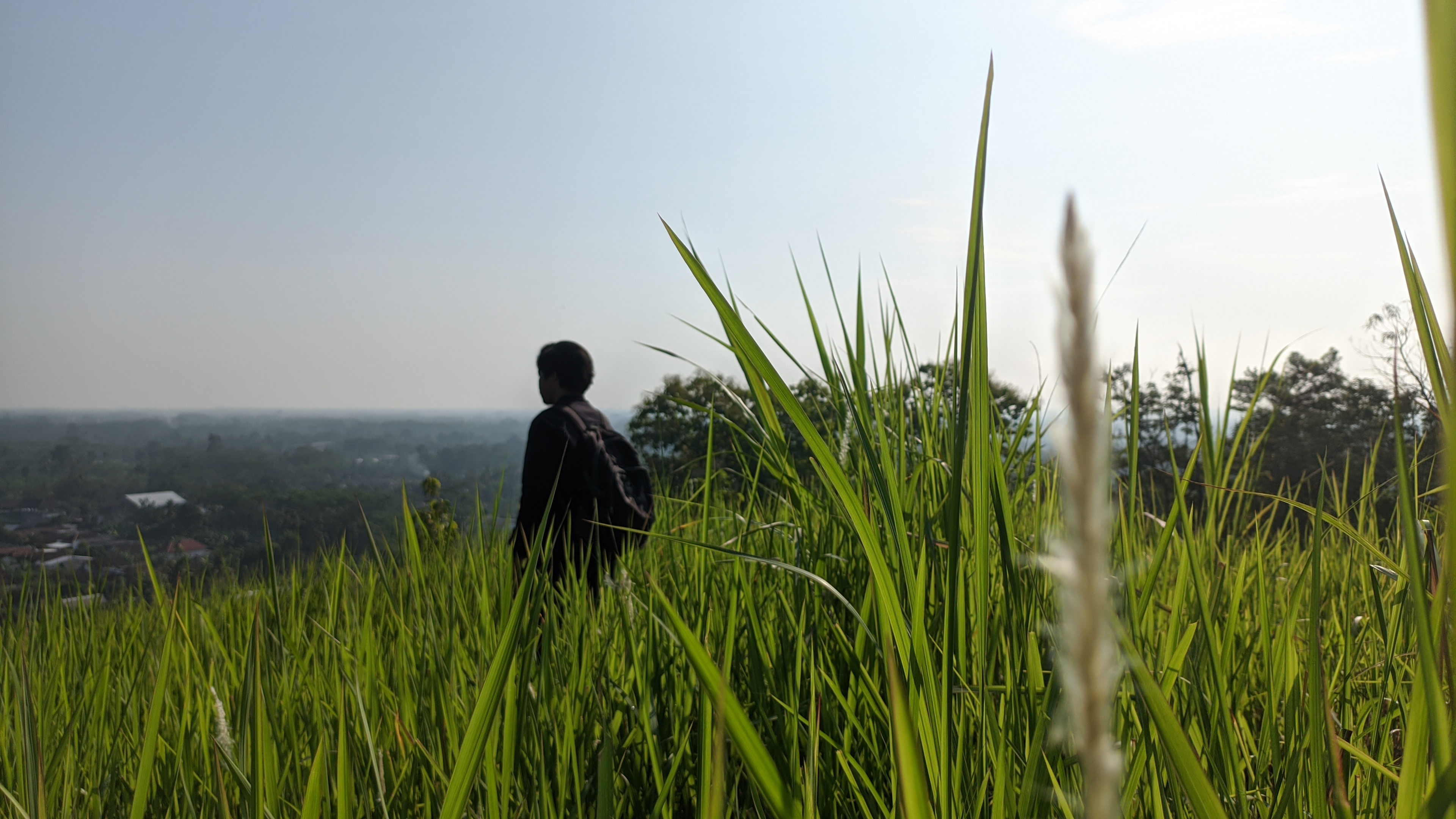 SPOT MENDUKUNG: Potret panorama bukit Pucang Rangga dengan hamparan rumput hijau di Desa Condro, Pasirian, Lumajang.