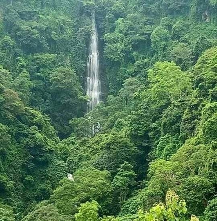 Air Terjun Talempong (DOK WEBSITE DISPAR SITUBONDO)