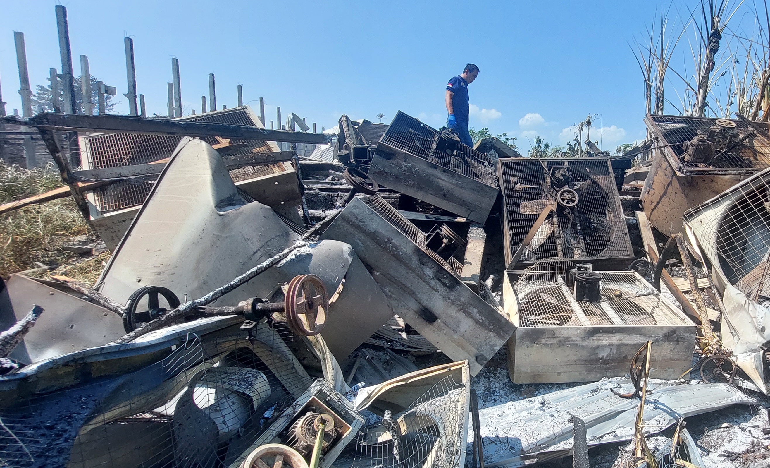 DATANGI LOKASI: Tim Inafis Polres Jember melakukan olah TKP tiga kandang ayam yang terbakar di Desa Jenggawah, kemarin.