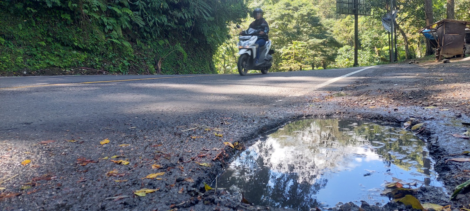 RAWAN LAKA: Kubangan yang ada di tikungan, tepatnya di Km 37, Dusun Gumitir, Desa Sidomulyo, Kecamatan Silo.(JUMAI/ RADAR JEMBER)
