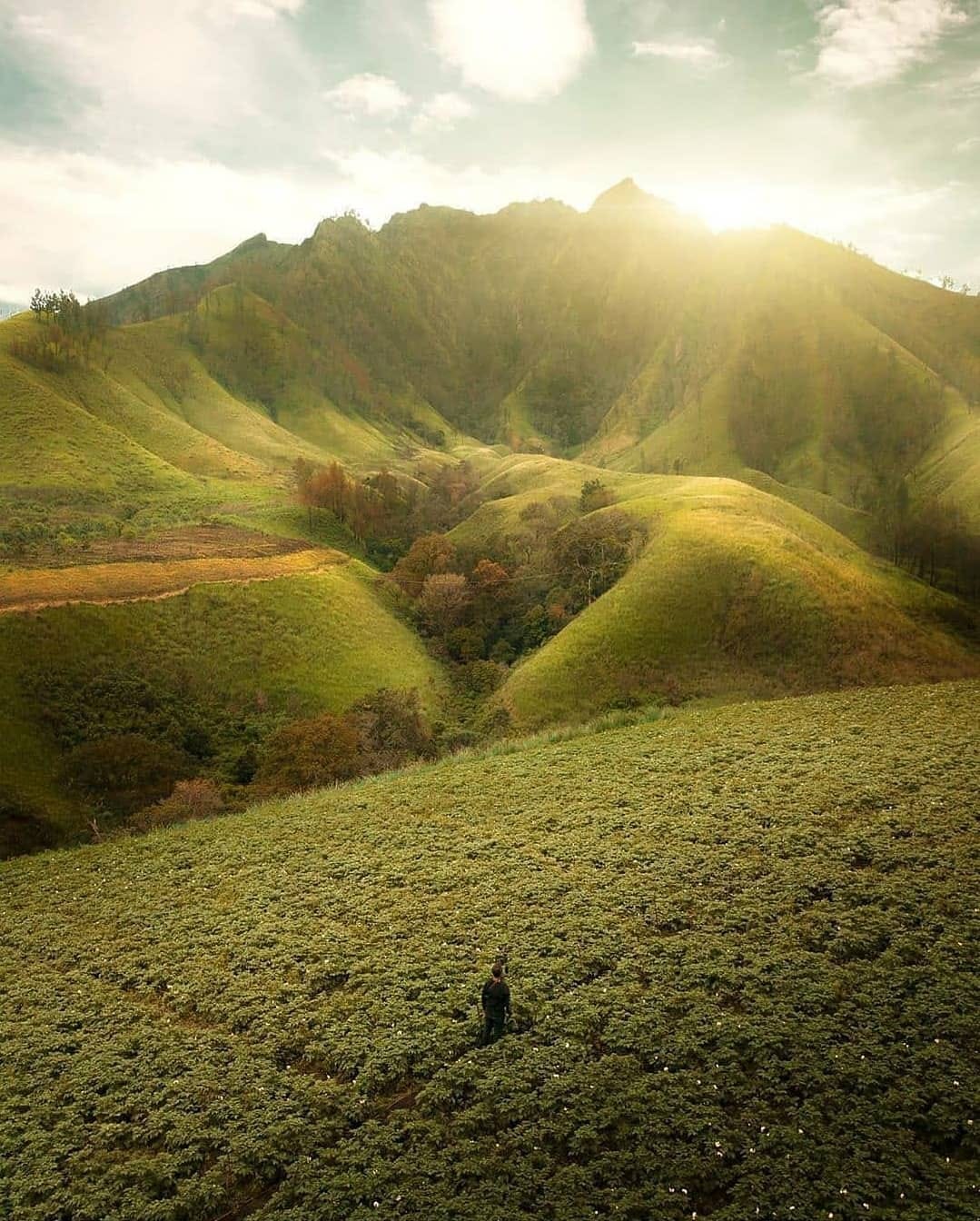 NIKMATI PEMANDANGAN ALAM: Salah seorang pengunjung menikmati wisata Taman Galuh yang berada di Desa Sumberejo, Kecamatan Ijen. (PEMDES SUMBEREJO)