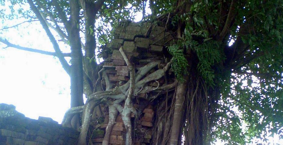 Sumber Foto: Web Resmi Jember Tourism